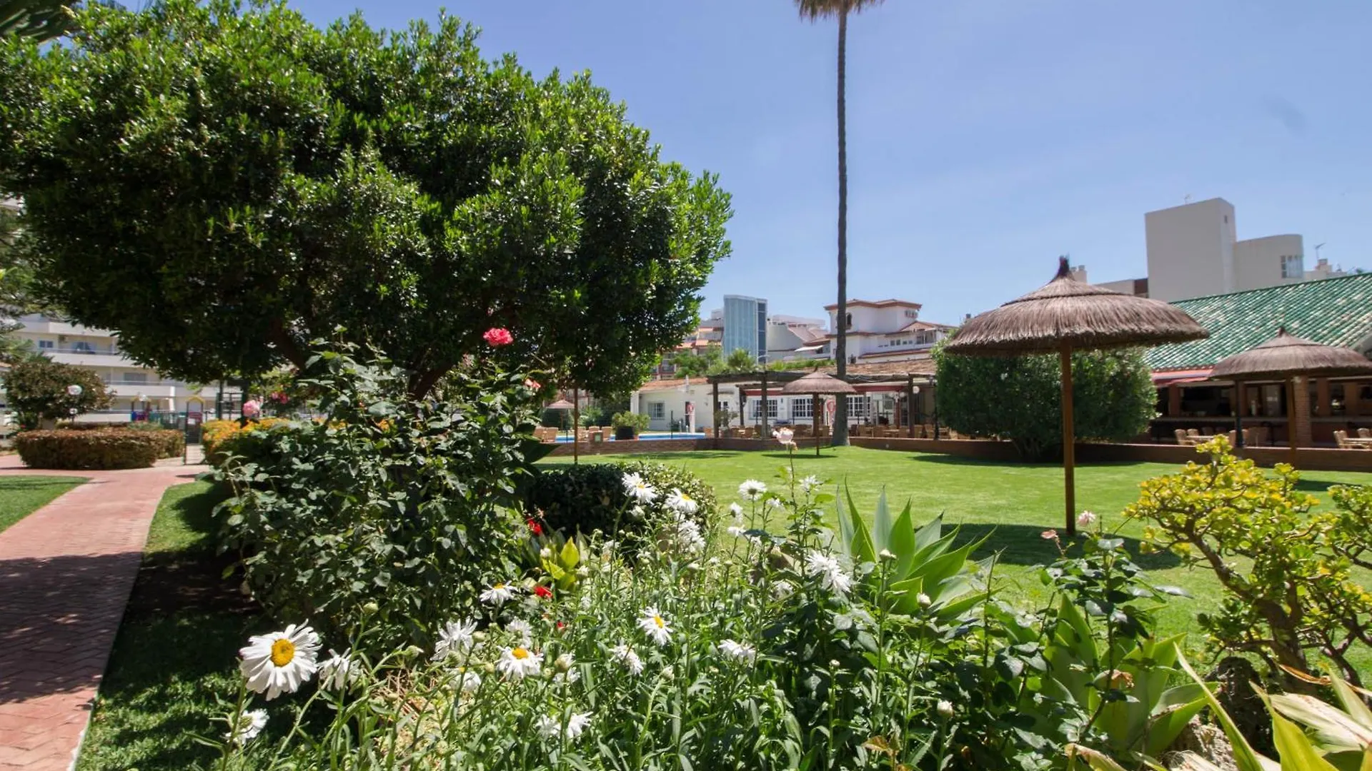 Carihuela Palace 419 By Ivi Real Estate 托雷莫利诺斯